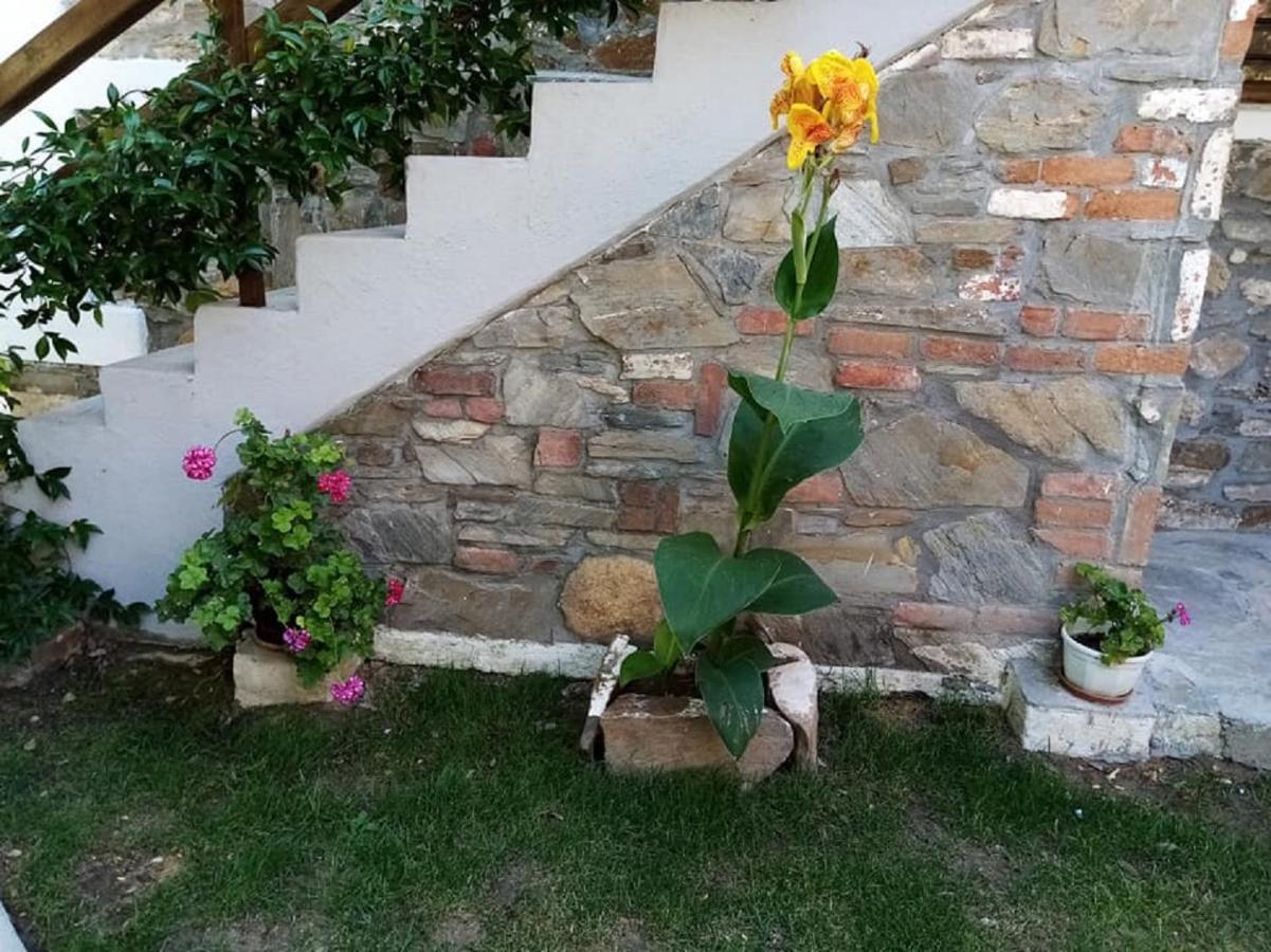 Petrino1880 Sea-Vacation Apartment In Chalkidiki Агиос Николаос Екстериор снимка
