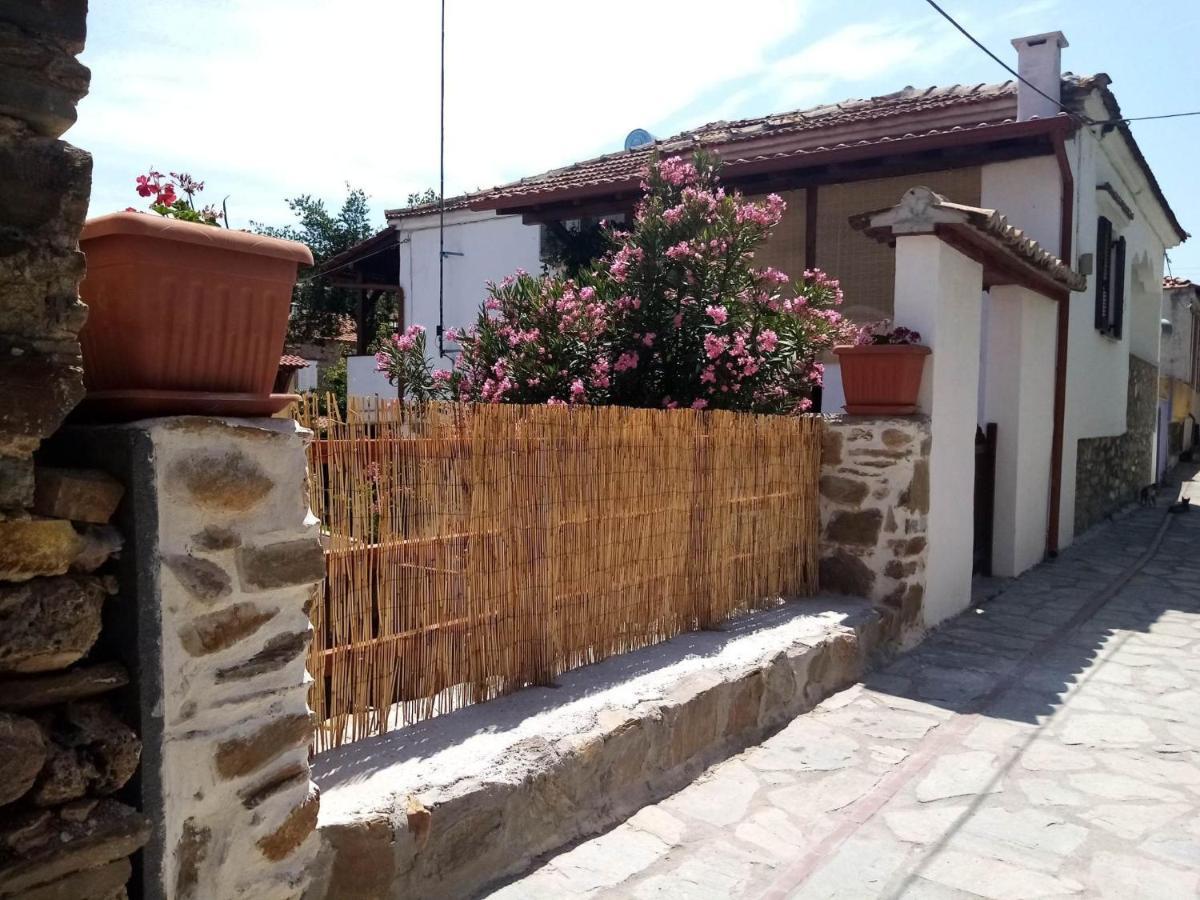 Petrino1880 Sea-Vacation Apartment In Chalkidiki Агиос Николаос Екстериор снимка