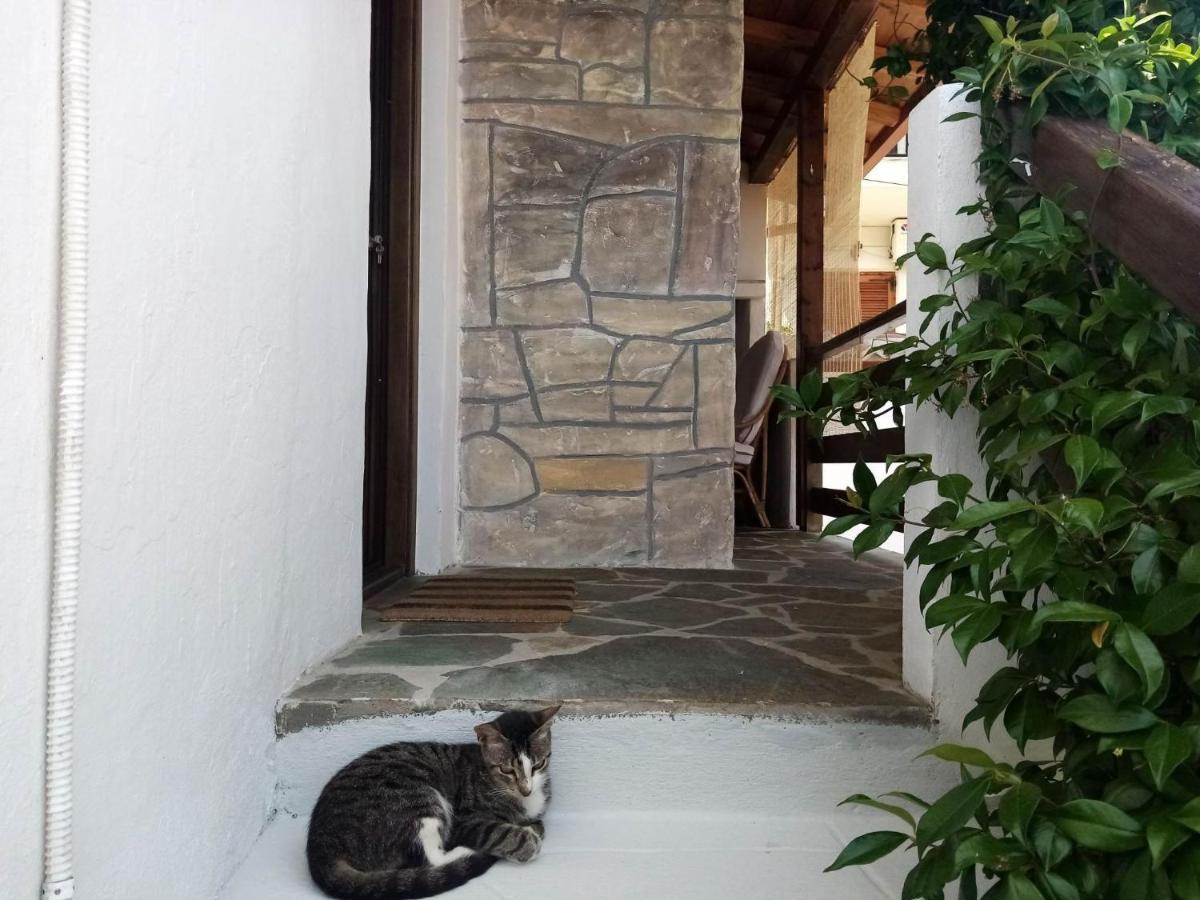 Petrino1880 Sea-Vacation Apartment In Chalkidiki Агиос Николаос Екстериор снимка